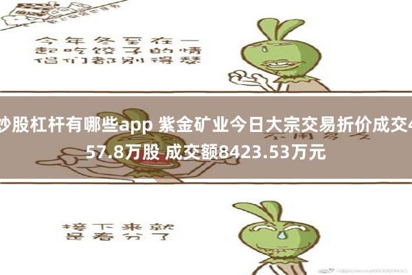 炒股杠杆有哪些app 紫金矿业今日大宗交易折价成交457.8万股 成交额8423.53万元