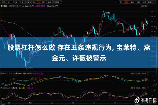 股票杠杆怎么做 存在五条违规行为, 宝莱特、燕金元、许薇被警示