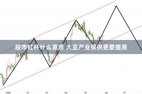 股市杠杆什么意思 大豆产业保供更要提质